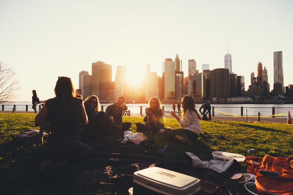 Brooklyn picnic friends discussing marketing