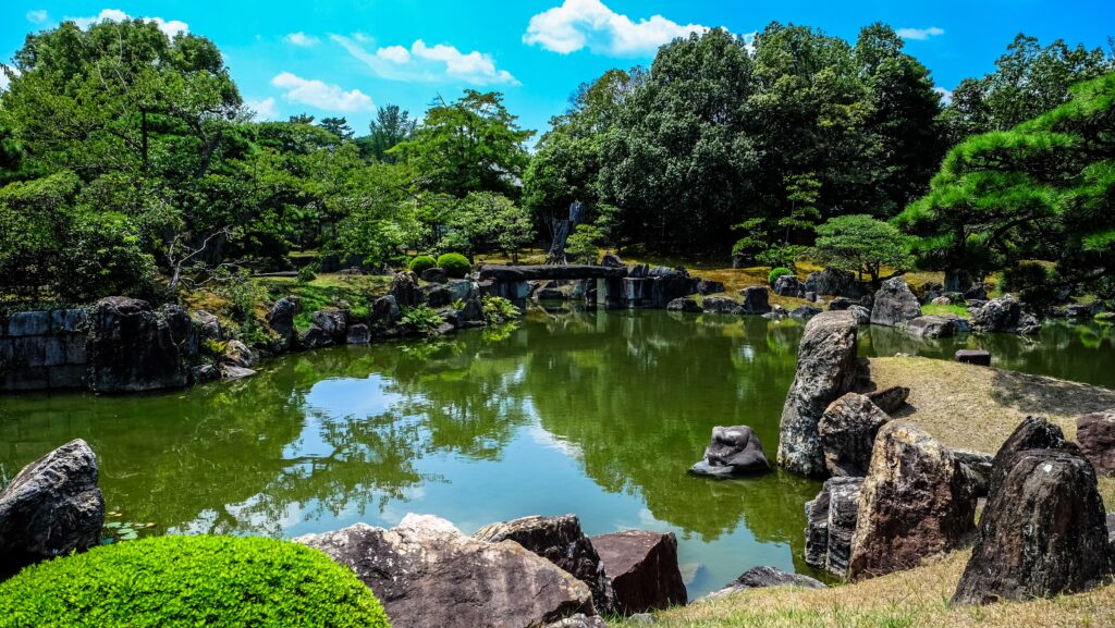 pond surrounded by rocks and trees - reference to walden pond thoreau